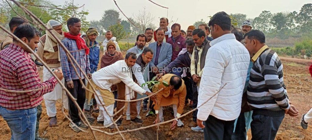  केन्द्र के परिसर में पौधरोपण 