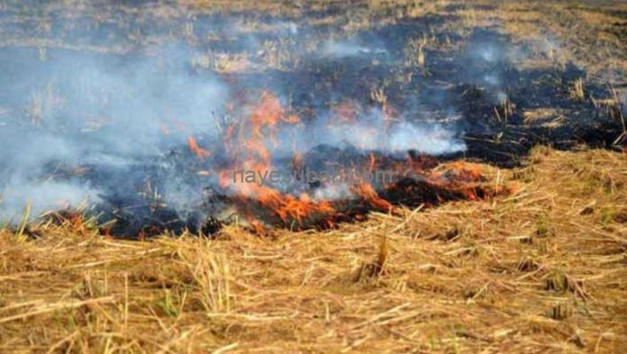 पराली जलाने वाले किसानों के विरुद्ध दर्ज होगी प्राथमिकी