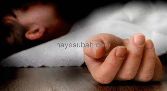 NS News