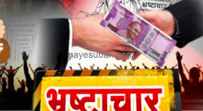 NS News