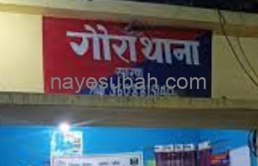 NS News