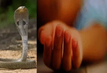 सर्पदंश से मुखिया के एकलौते पुत्र की मौत, घर में मचा कोहराम NS News