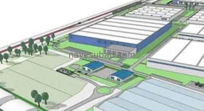 NS News