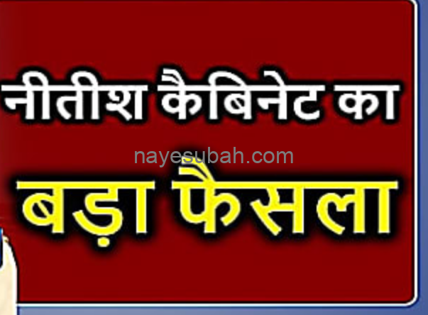 NS News