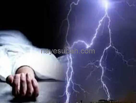 NS News