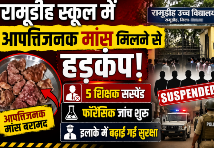 NS News