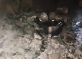 देवर पर गंभीर आरोप: महिला के घर में तोड़फोड़ के बाद लगाई आग, लाखों की संपत्ति राख NS News