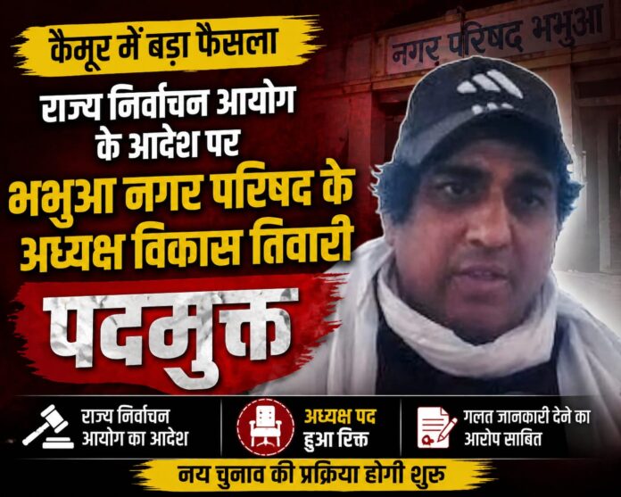 NS News