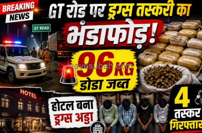 NS News