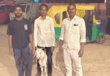 कैमूर में बकरी चोरी गैंग का पर्दाफाश: सीएनजी जब्त, दो बकरियां बरामद, आरोपी फरार NS News