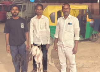 कैमूर में बकरी चोरी गैंग का पर्दाफाश: सीएनजी जब्त, दो बकरियां बरामद, आरोपी फरार NS News