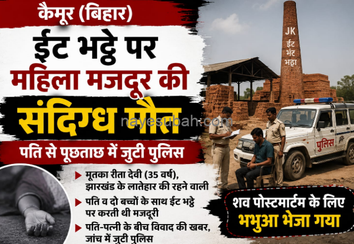 NS News