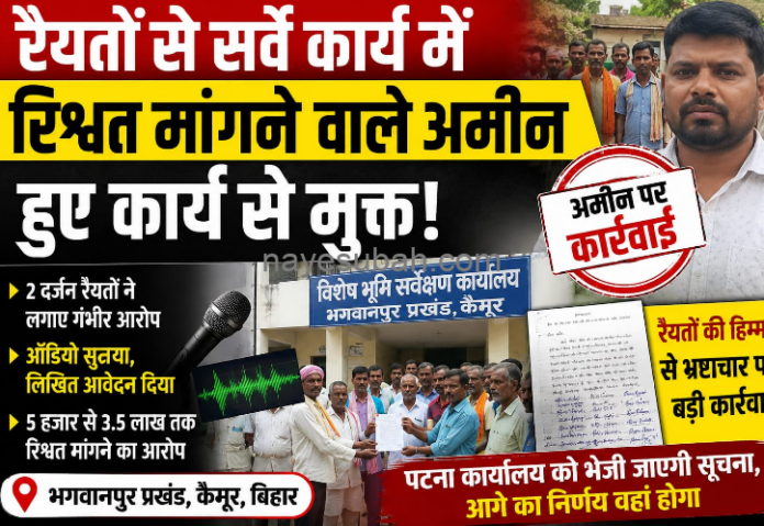 NS News