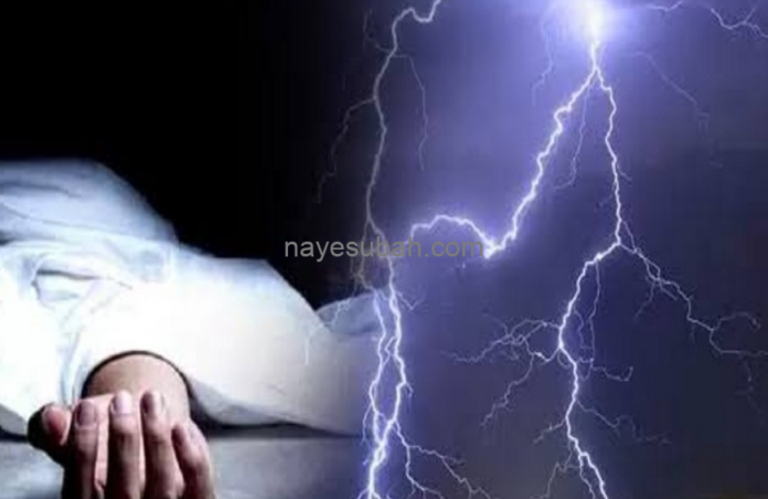 NS News