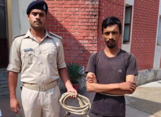 17 माह से फरार हत्या कांड का नामजद आरोपी दबोचा, पारिवारिक विवाद में गई थी बुजुर्ग की जान NS News