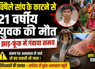 भगवानपुर में सर्पदंश से 21 वर्षीय युवक की मौत, अस्पताल की बजाय झाड़-फूंक में बीता कीमती समय NS News