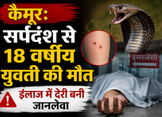 भोर में सो रही युवती को सांप ने डंसा, इलाज के दौरान अस्पताल में तोड़ा दम NS News