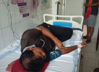 कमरे में सो रहे पेंटर को जहरीले सांप ने डंसा, हालत बिगड़ने पर हायर सेंटर रेफर NS News