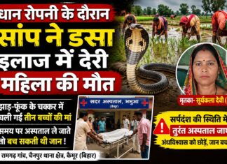 धान रोपाई के बीच काल बना विषधर, इलाज में देरी से तीन बच्चों की मां की मौत NS News