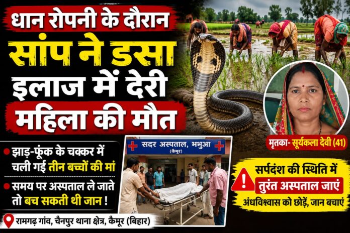 NS News