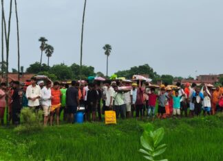 मलिकसराय में आस्था का उमड़ा सैलाब, मां काली की पूजा में भक्तों ने की सामूहिक परिक्रमा NS News
