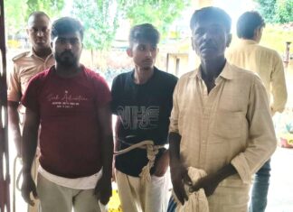 चैनपुर में शराब के खिलाफ बड़ी कार्रवाई, तीन तस्कर गिरफ्तार; 245 पीस देसी शराब बरामद NS News