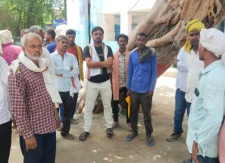आंगन में सो रही महिला को जहरीले सांप ने डंसा, इलाज के दौरान मौत; 6 बच्चों की मां के परिवार ने मांगा मुआवजा NS News