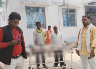 सिसौड़ा में जहरीले सांप ने बुझा दिया घर का चिराग, 9 साल की शिवांगी की मौत NS News