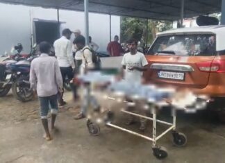 कैमूर में सांप के डसने से 15 वर्षीय किशोरी की मौत, झाड़फूंक में बीता 8 घंटे का वक्त; एक युवक अस्पताल में भर्ती NS News
