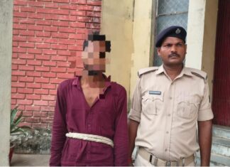 नौकरी छीनने का दबाव बनाकर युवती से गलत काम का आरोप, मारपीट के मामले में एक गिरफ्तार NS news