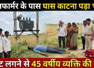 ट्रांसफार्मर के पास घास काटना पड़ा भारी, करंट लगने से 45 वर्षीय व्यक्ति की मौत NS News