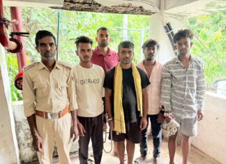 चैनपुर में वाहन जांच के दौरान पांच लोग शराब के नशे में गिरफ्तार, मेडिकल जांच में हुई पुष्टि NS News