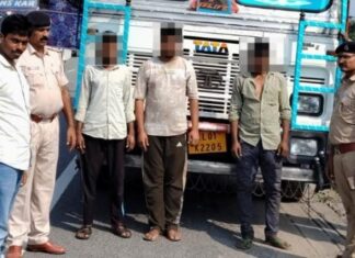 लोहरदगा से कानपुर ले जाए जा रहे 31 मवेशी बरामद, कंटेनर जब्त; तीन तस्कर गिरफ्तार NS News