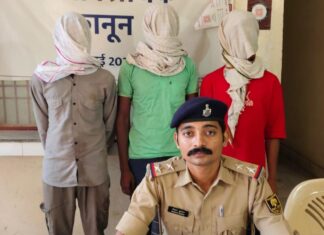 सिरसी नहर के पास पुलिस की कार्रवाई, पशुओं से भरी मैजिक वैन जब्त; तीन युवक गिरफ्तार NS News