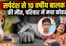 रामगढ़ में दर्दनाक हादसा: सांप के डसने से 10 वर्षीय अंकित की मौत, घर में पसरा मातम NS News