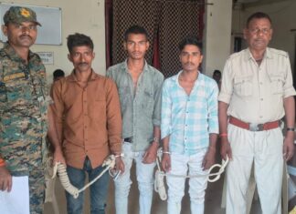 चैनपुर में पुलिस की दोहरी कार्रवाई, शराब के नशे में हंगामा कर रहे तीन गिरफ्तार, दो वारंटी भी दबोचे गए नशे में गिरफ्तार