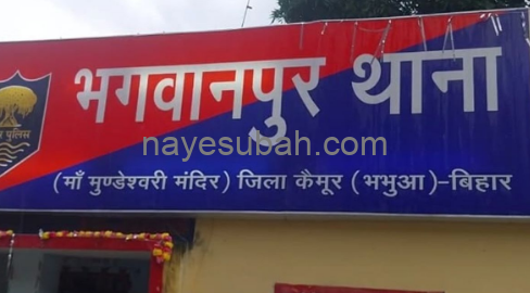NS News