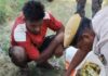 यूपी से शराब लेकर आ रहा तस्कर गिरफ्तार, 131 पीस देसी मसालेदार शराब बरामद NS News