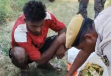 यूपी से शराब लेकर आ रहा तस्कर गिरफ्तार, 131 पीस देसी मसालेदार शराब बरामद NS News