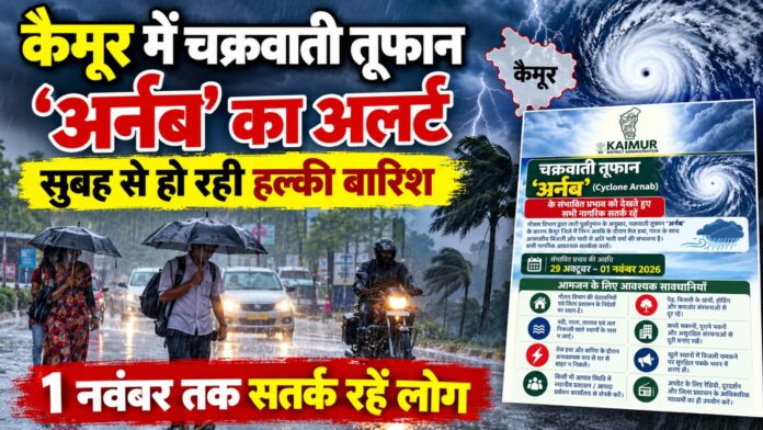 NS News
