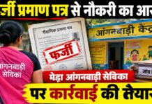 फर्जी प्रमाण पत्र से नौकरी पाने का आरोप, मेड़ा आंगनबाड़ी सेविका पर कार्रवाई की तैयारी NS News