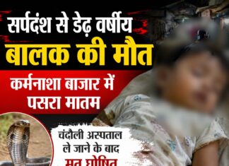 कर्मनाशा बाजार में पसरा मातम, सर्पदंश से डेढ़ साल के मासूम की मौत NS news